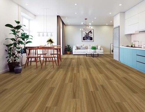 Tempess Meadow Blackbutt M4